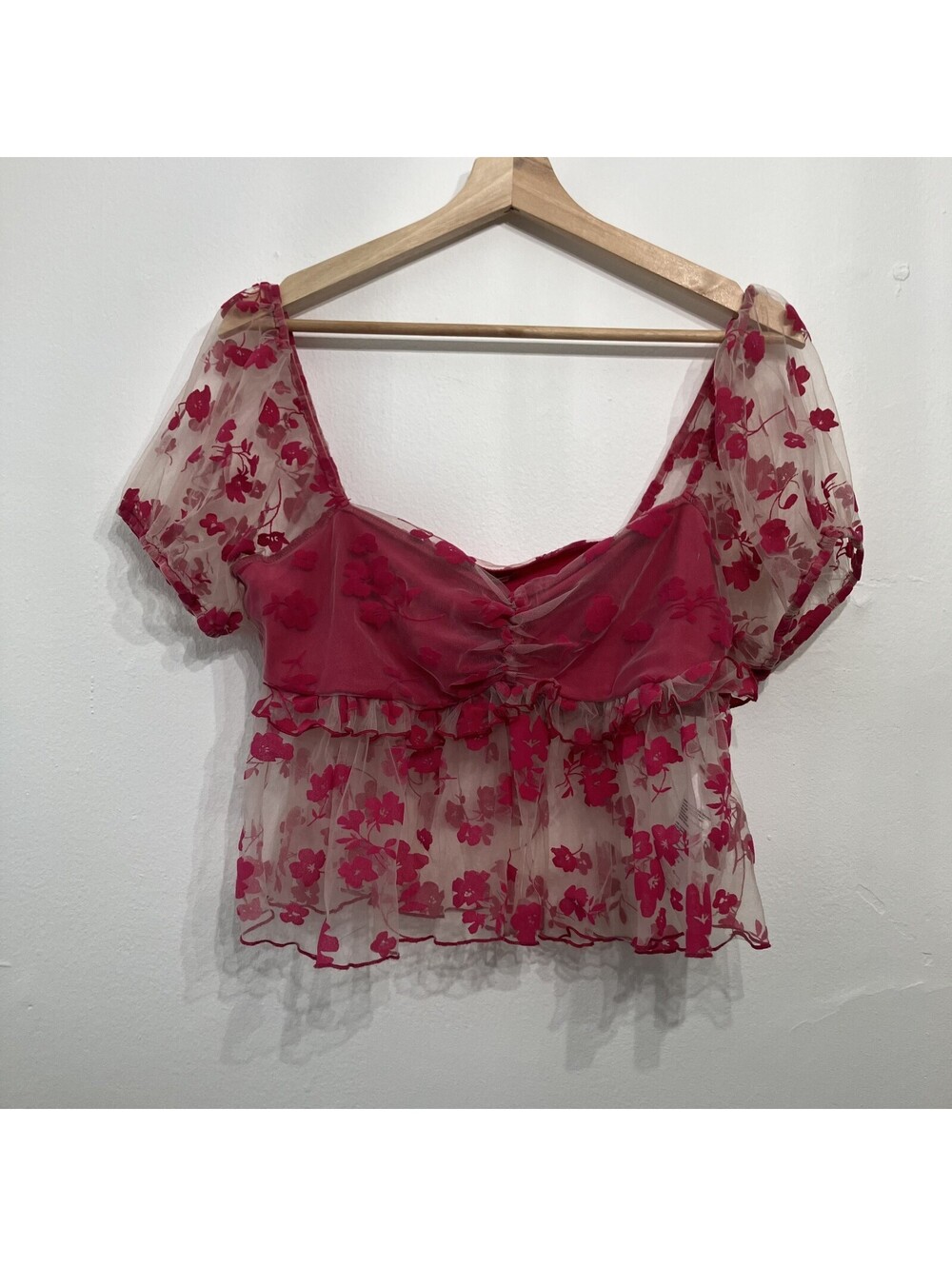 Y2K Fairy Sheer Dainty Floral Babydoll Top Puff Sleeve Mesh Velvet Burnout Large